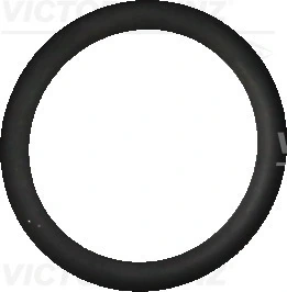 Seal Ring